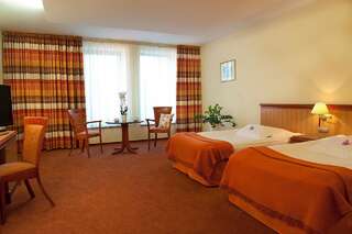 Отель Hotel Amadeus Водзислав-Слёнски Двухместный номер с 2 отдельными кроватями-1