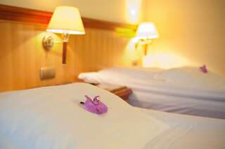 Отель Hotel Amadeus Водзислав-Слёнски Двухместный номер с 2 отдельными кроватями-2