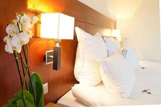 Отель Hotel Amadeus Водзислав-Слёнски Улучшенный двухместный номер с 1 кроватью-3
